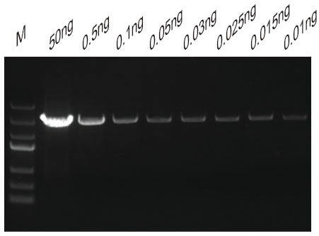 17.12ftaq mix圖3.jpg