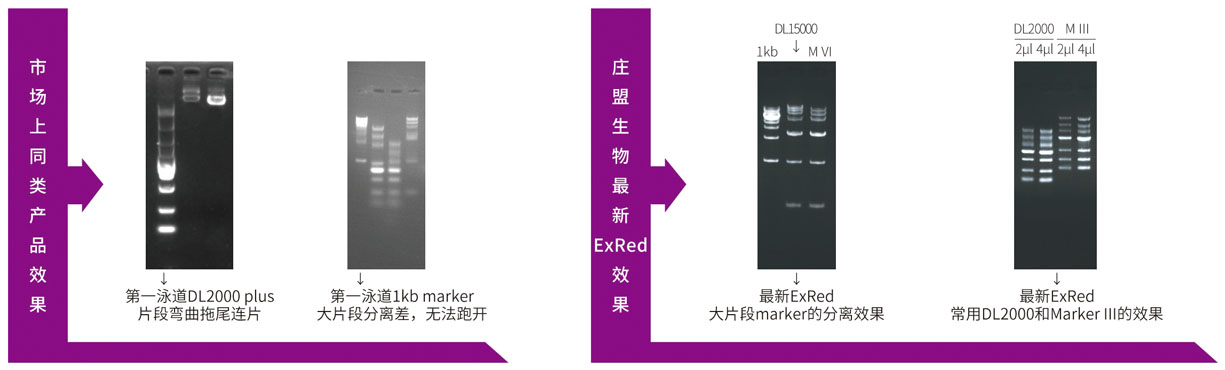 22.5 red對比圖.jpg