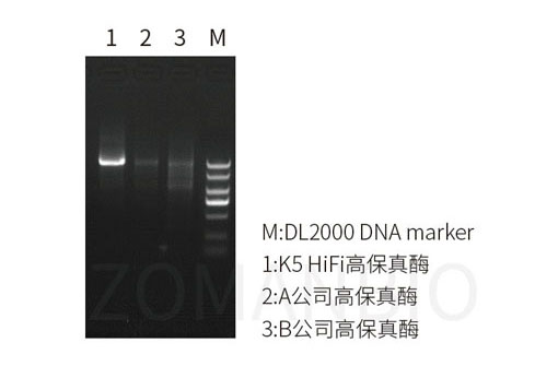 22.9 高保真酶圖5.jpg