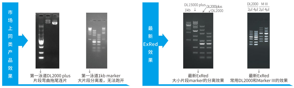 24.4.25 red對比圖.JPG