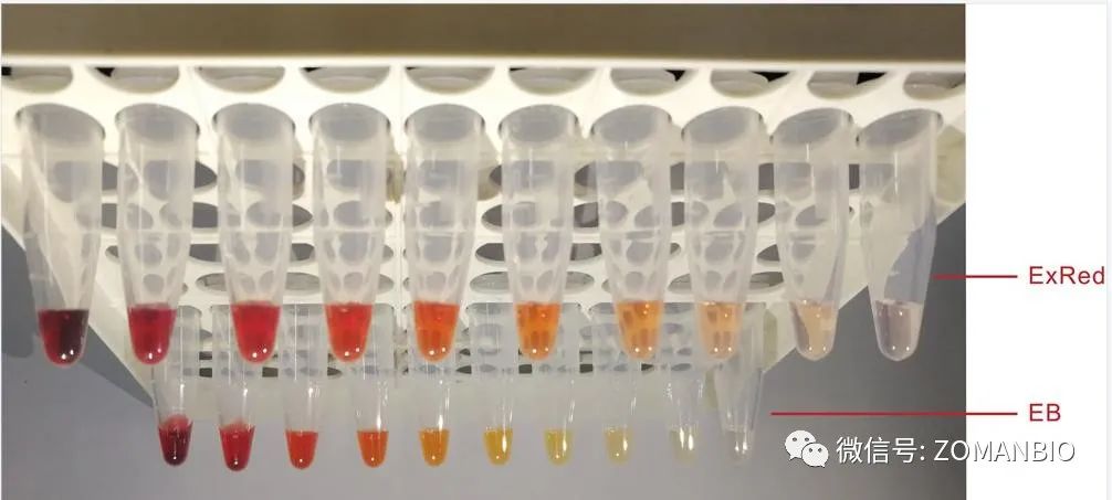 22.6 EB與red區分圖3.jpg 圖片